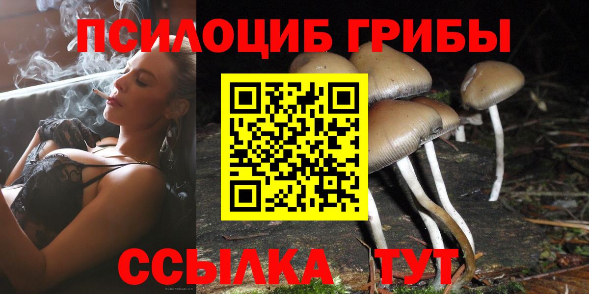 Псилоцибиновые грибы мицелий Красный Сулин
