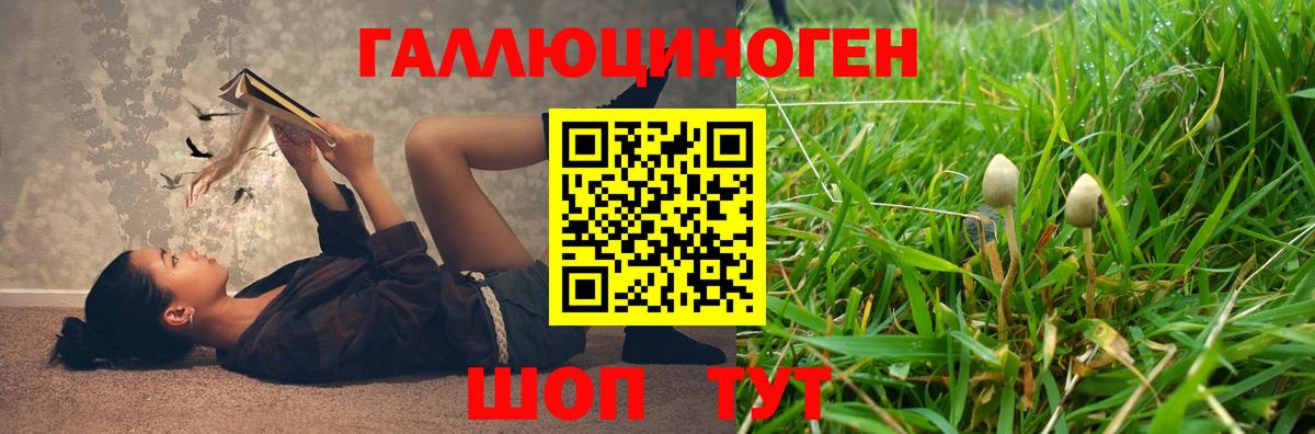 Красный Сулин  Галлюциногенные грибы мухоморы  Псилоцибиновые грибы мухоморы  Вход с VPN 